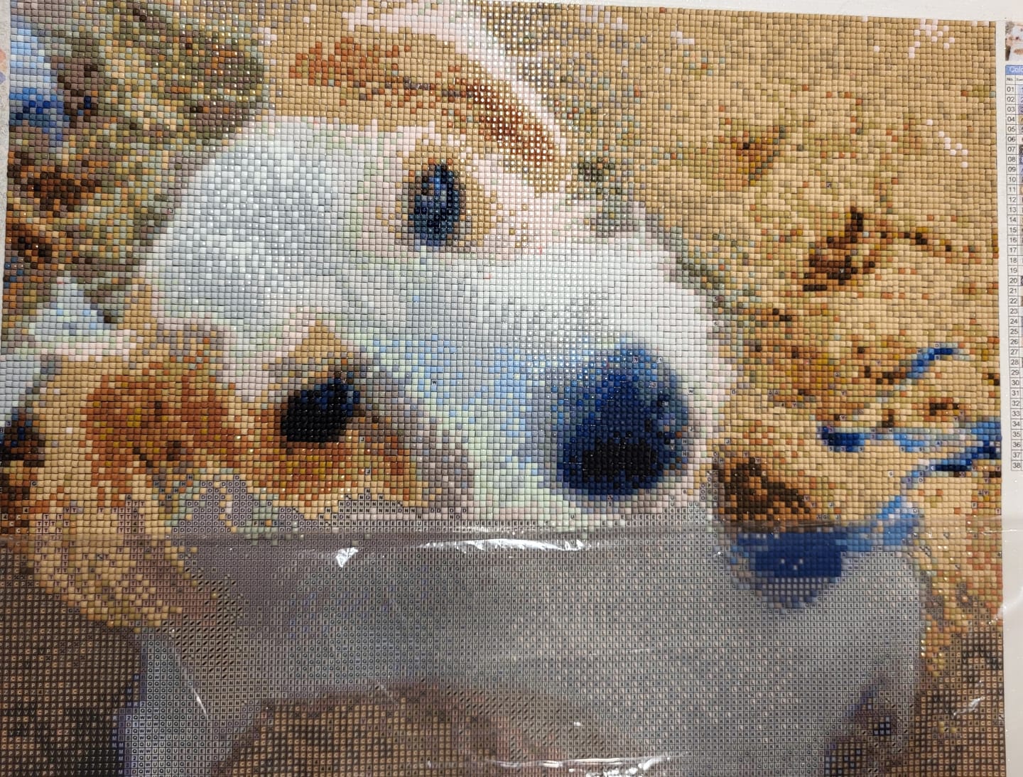 Customer photo review of Überraschungsbild - Diamond Painting