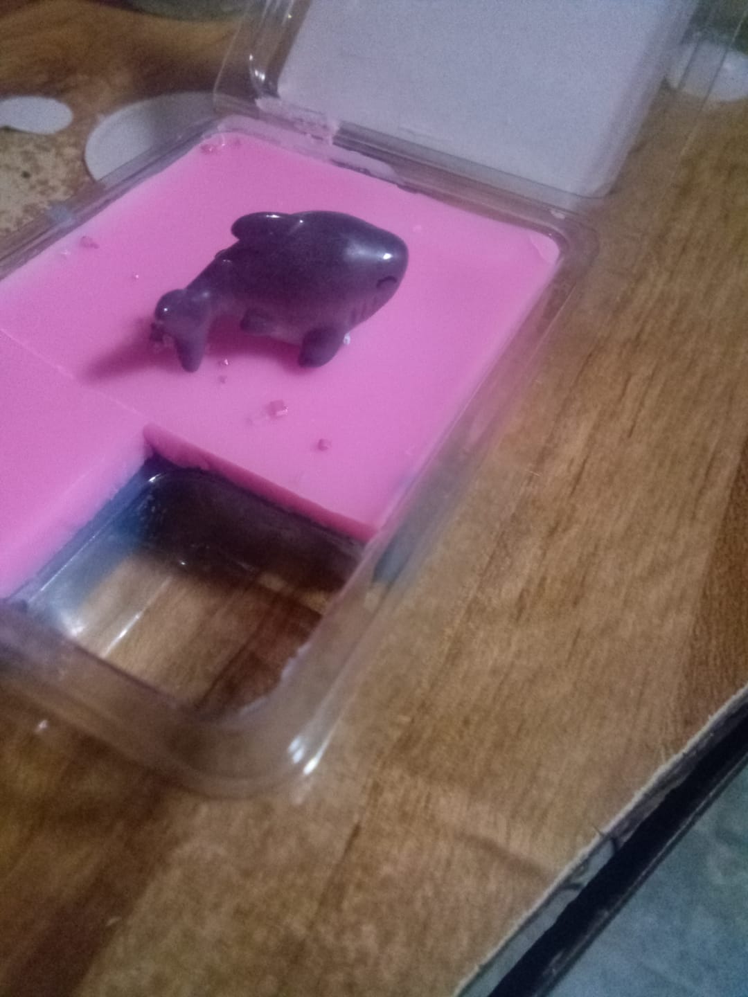 Customer photo review of Shark Attack Wax Melts