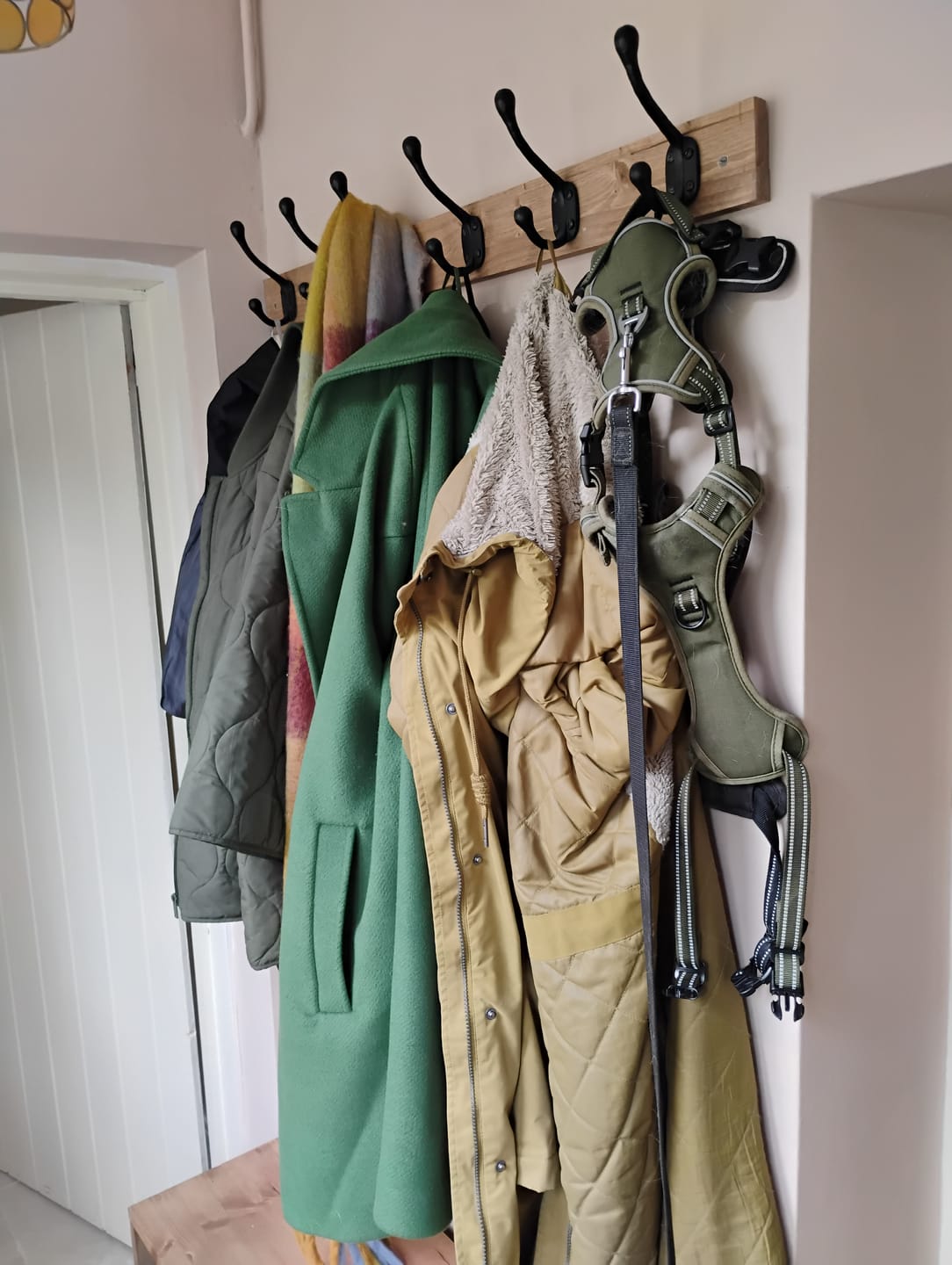 Customer photo review of Black Rustic Cast Iron Hat & Coat Hook · 7117 ·