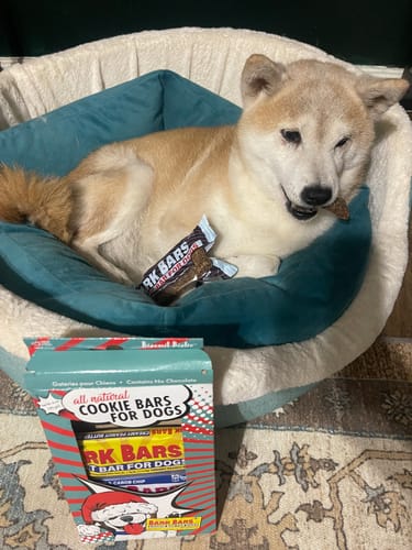Customer photo review of Bark Bar Cookie Bars