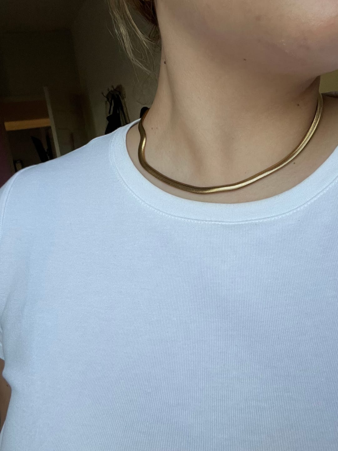 Customer photo review of Collar Abelia