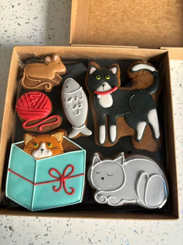 Customer photo review of Cats Biscuit Box