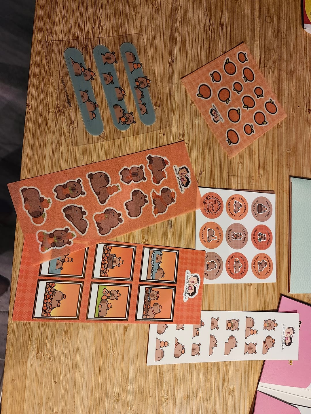 Customer photo review of Autumn Capybaras Variety Sticker Pack