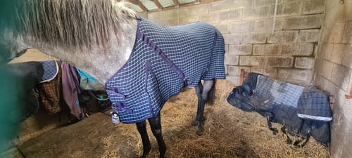 Customer photo review of Rhinegold Box Weave Cooler