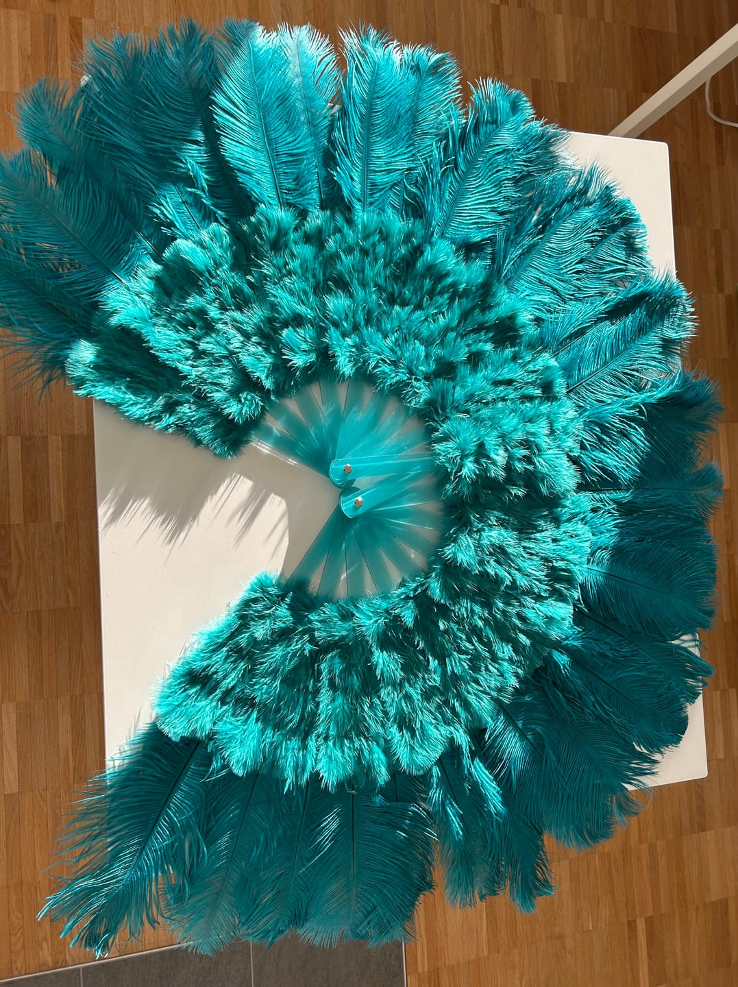 Customer photo review of Teal Marabou Ostrich Feather fan 21"x 38"