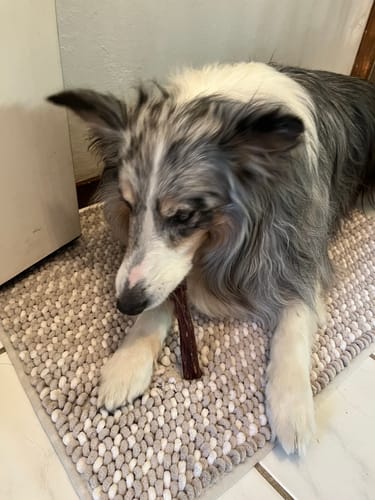 Customer photo review of 6 Inch Beef Jerky Stick