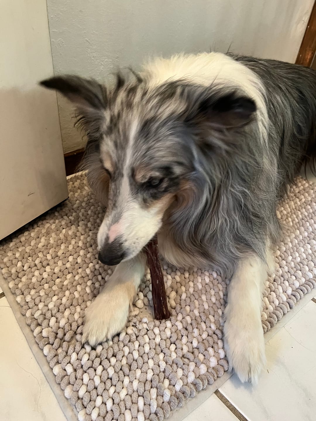 Customer photo review of 6 Inch Beef Jerky Stick