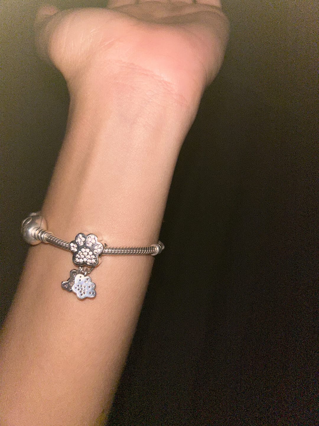 Customer photo review of Charm Huellas de Perrito & Hueso Diamantado