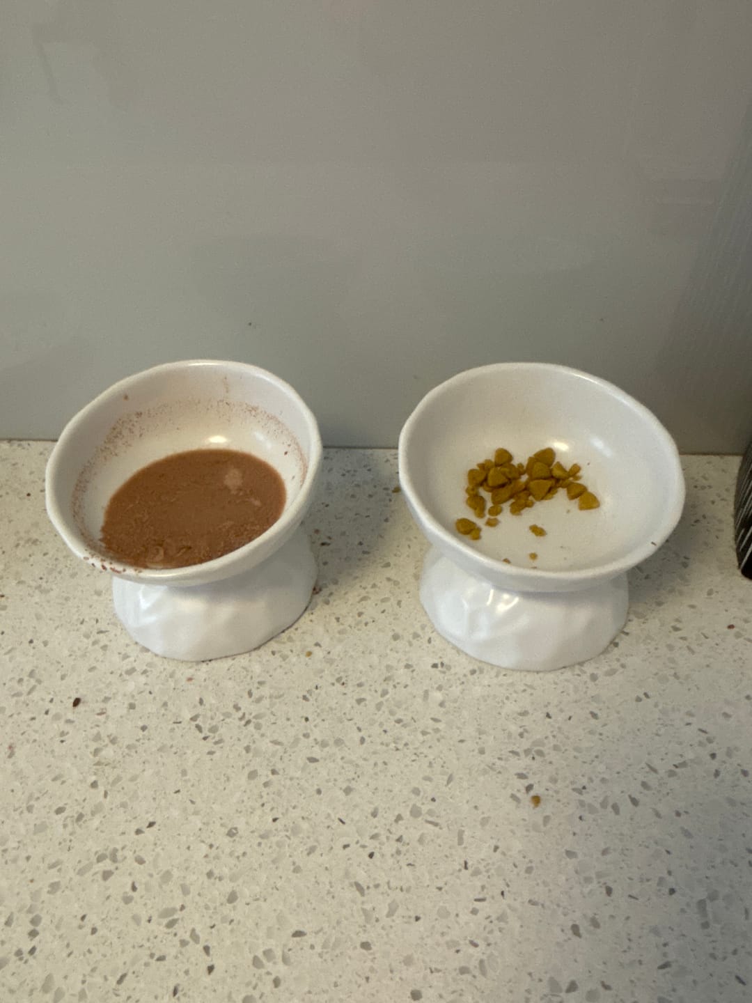 Customer photo review of Tilting Ceramic Cat Bowls With Uneven Texture