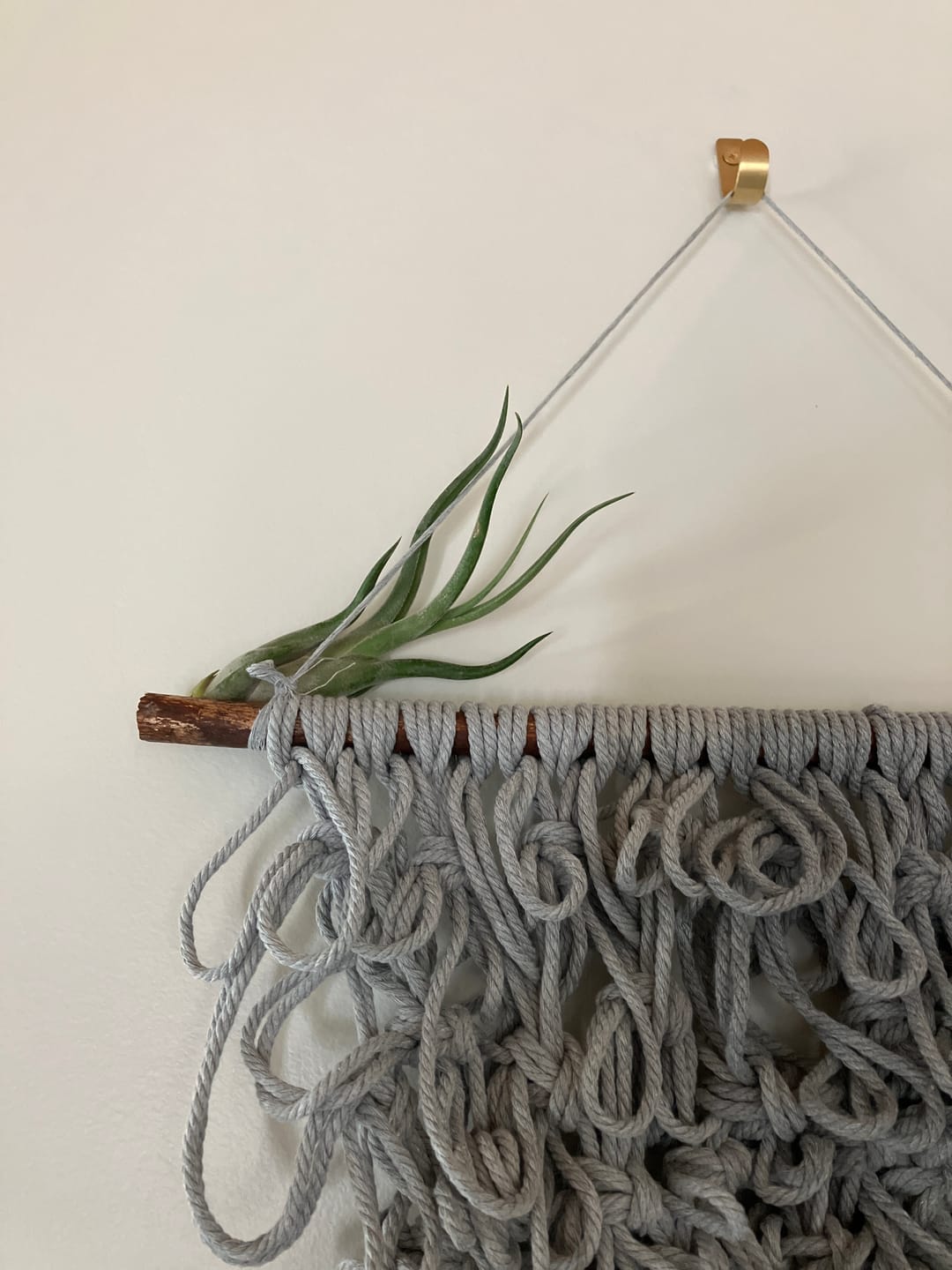 Customer photo review of Caput Medusae  (Beginner Friendly!)