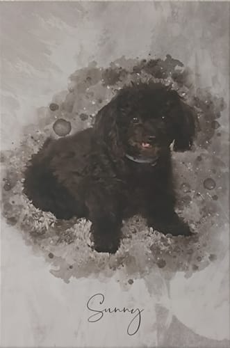 Customer photo review of Dein Hund als Aquarell Tierportrait | Geschenk für Hundebesitzer