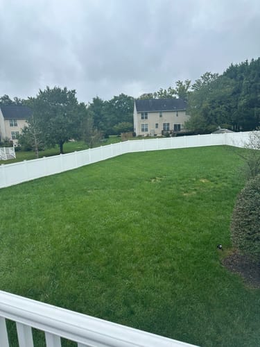 Customer photo review of GCI Turf Type Tall fescue Grass Seed