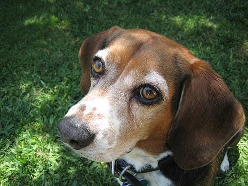 Customer photo review of Ultimate Digestion