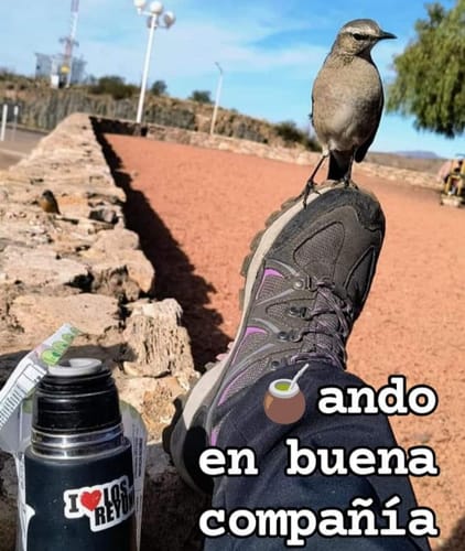 Foto compartida por ceci A.