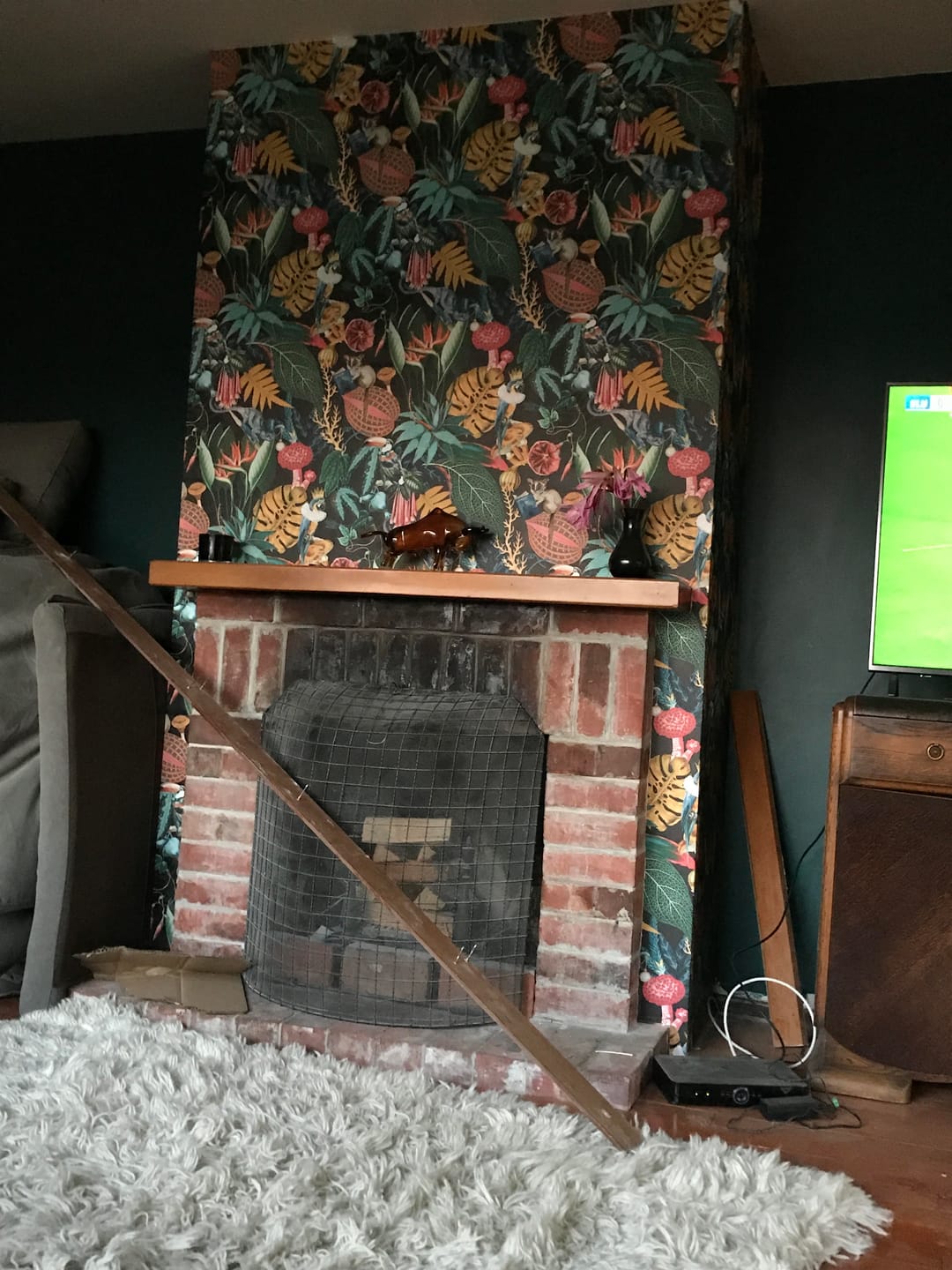 Customer photo review of Reverie - Funky Jungle Wallpaper - Charcoal/Black