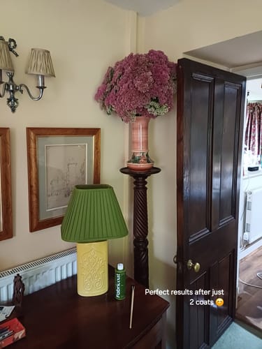 Customer photo review of Fabric Paint -- Olive