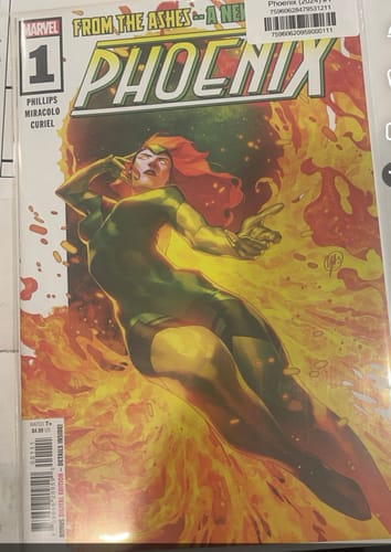 Customer photo review of Phoenix (2024) #1