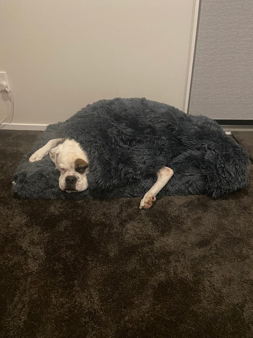 Customer photo review of Brooklyn® Ultra Memory Foam Bed