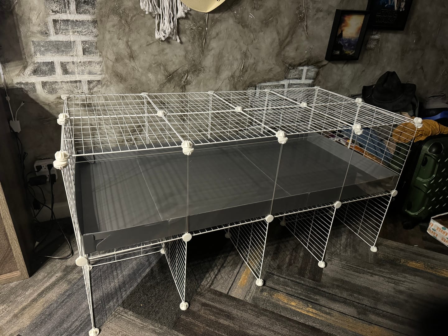 Customer photo review of 4x2 Clear C&C Cage with Stand