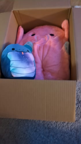 Customer photo review of Available Now: Squishmallows 19cm Herman Snake