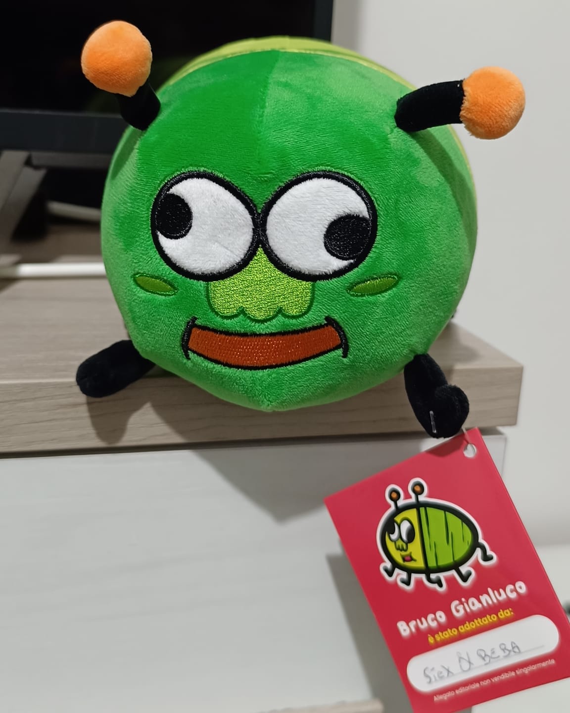 Customer photo review of PREORDINE Peluche Bruco Gianluco + Albo Fumetti e Canzoni!
