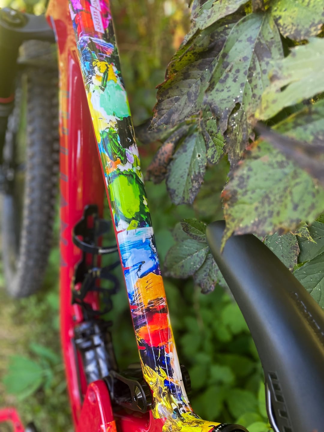 Customer photo review of Custom Frame Keeper