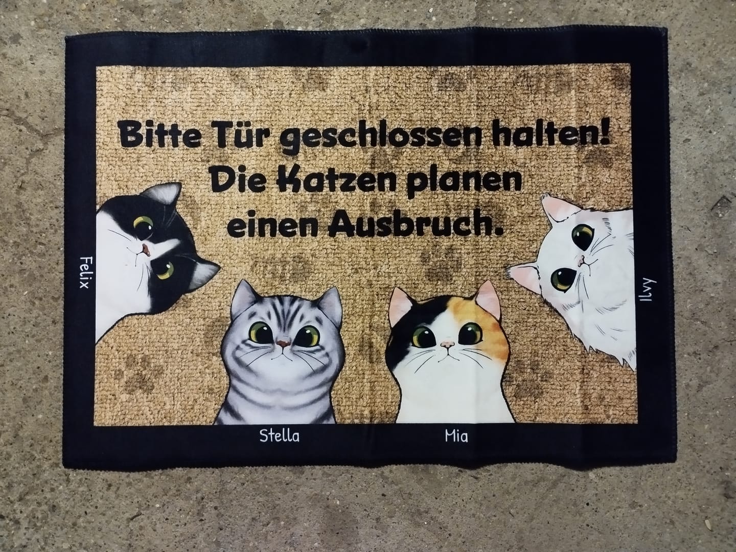 Customer photo review of Katzen planen einen Ausbruch - Individuelle Fußmatte
