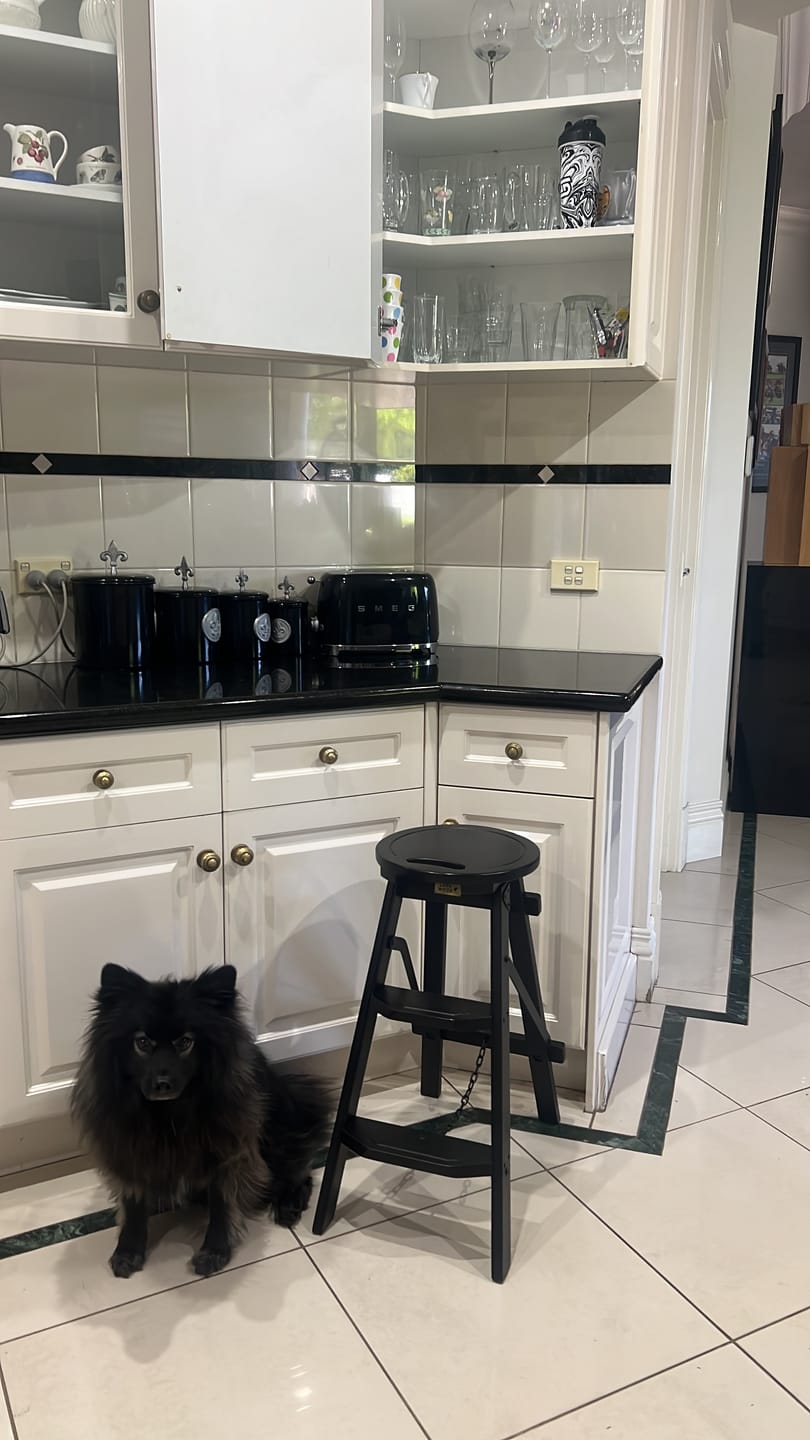Customer photo review of Bravo Stool | Step Ladder | Mahogany & Teak - Classic Collection