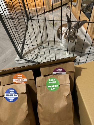 Customer photo review of Taster Pack