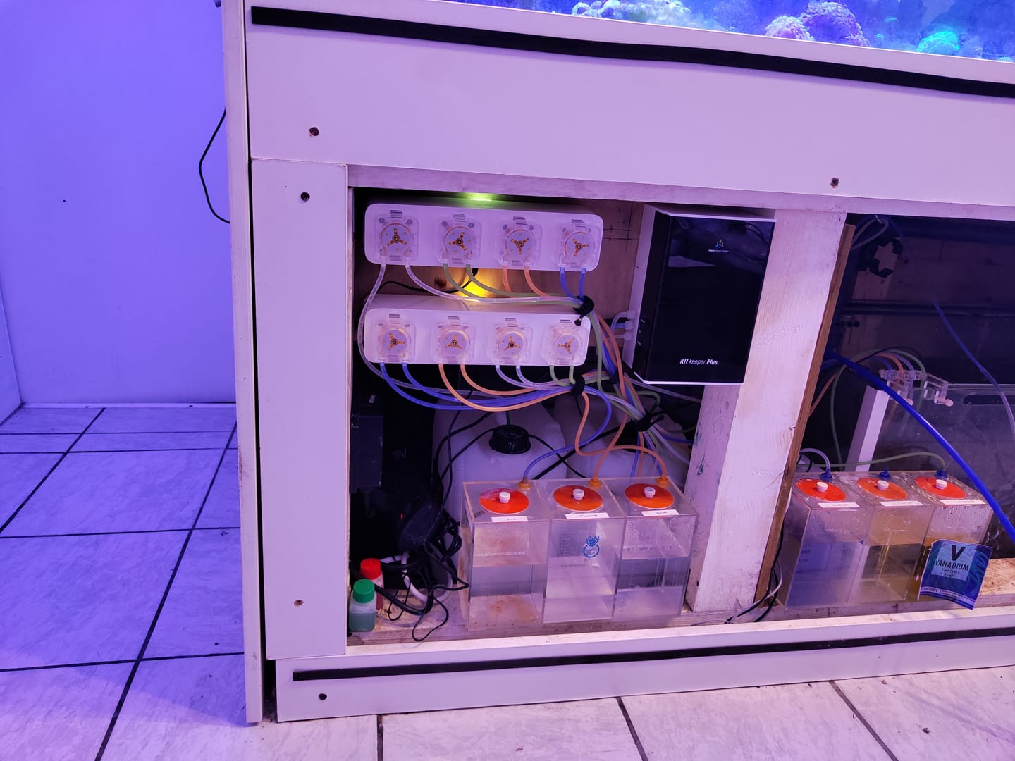 Customer photo review of Reef Factory Dosing Pumpe pro X4