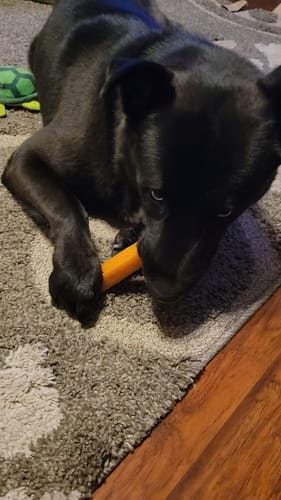 Customer photo review of MIX FLAVORED (Strawberry, Banana, Pumpkin, & Blueberry): A PACK OF 4 STICKS