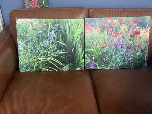 Customer photo review of 8x10 Gallery Wrapped Prints