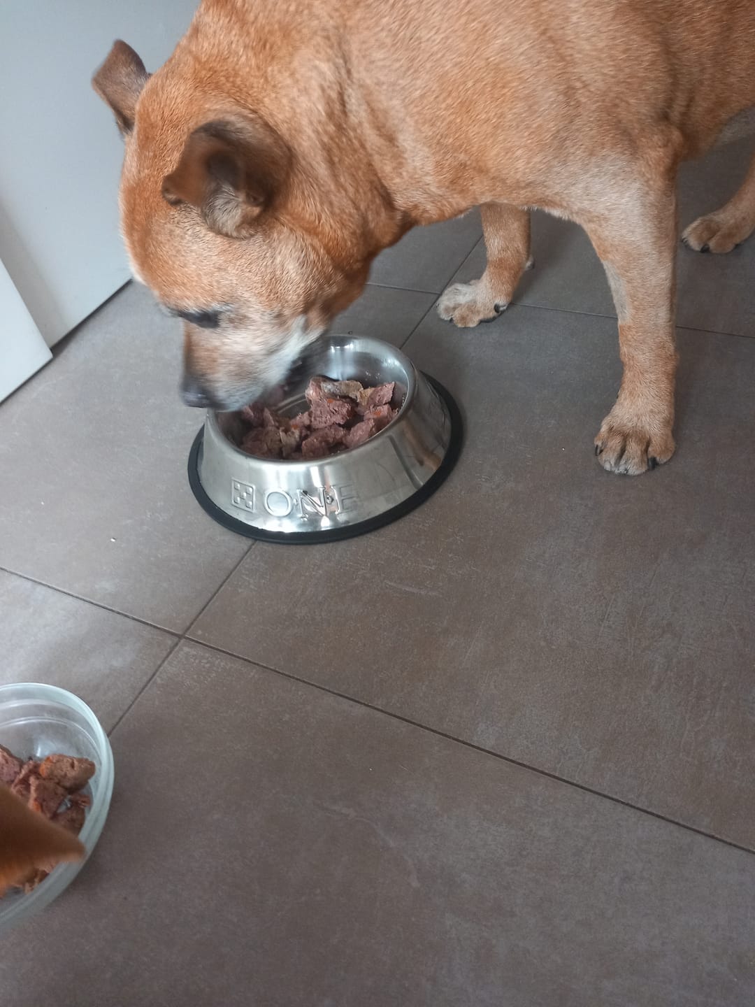 Customer photo review of Cocido Natural de Pollo fresco y verduras - Naturalmente Feliz (2,7KG - 6 X 450gr)