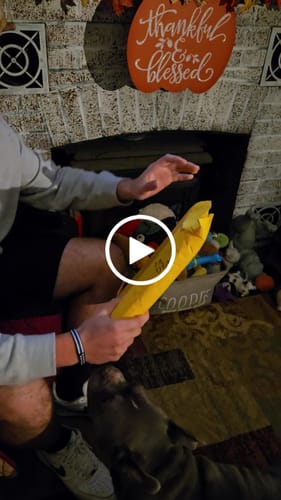 Customer video review of Pet Art Canvas Wrap