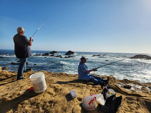 Customer photo review of 9'4" No Excuses Surf Travel Rod with Tube Medium-Heavy Action 3/4oz to 3oz