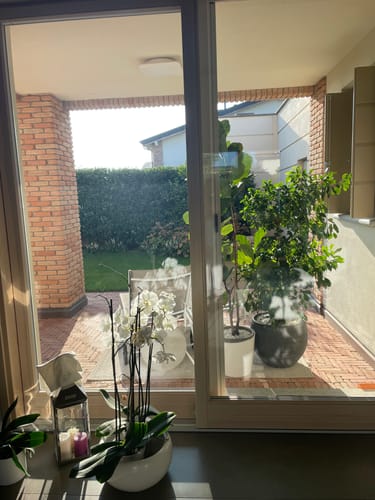 Customer photo review of Kit Vetri: Panno + Sapone Neutro