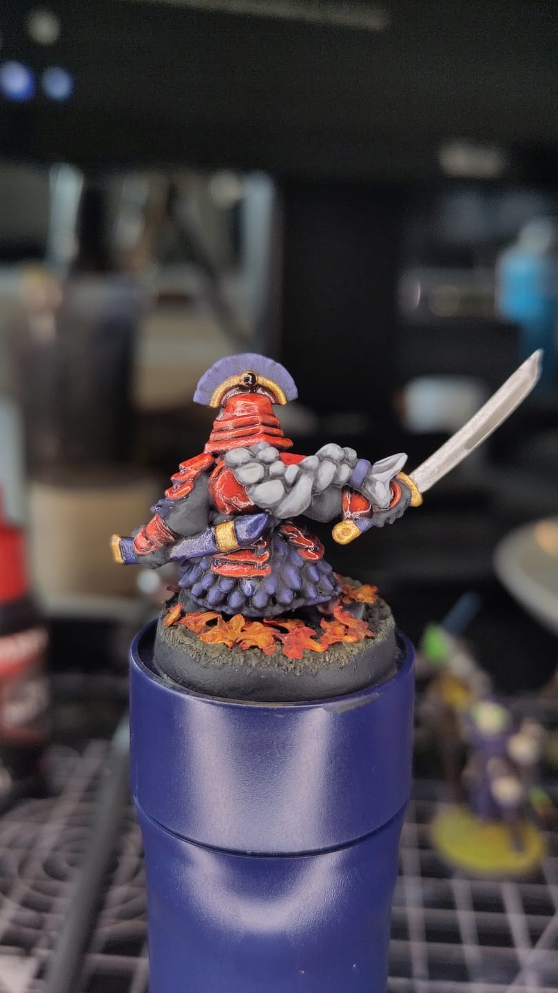 Customer photo review of Thoranic Guard