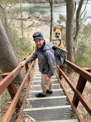 Customer photo review of All In One Pet Carrier Bag | Dog Bike Basket | Backpack for Dogs & Cats | Car Booster Seat