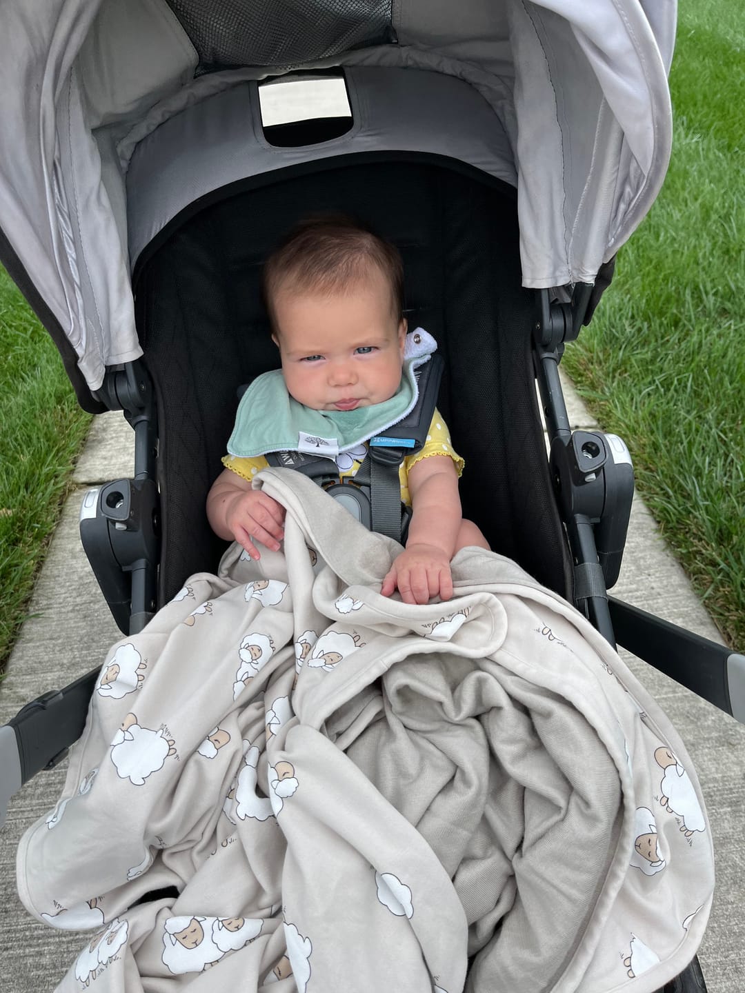Customer photo review of Toddler Blanket, 4 Season® Merino Wool & Organic Cotton Blanket, 52.5" x 40", Sheep