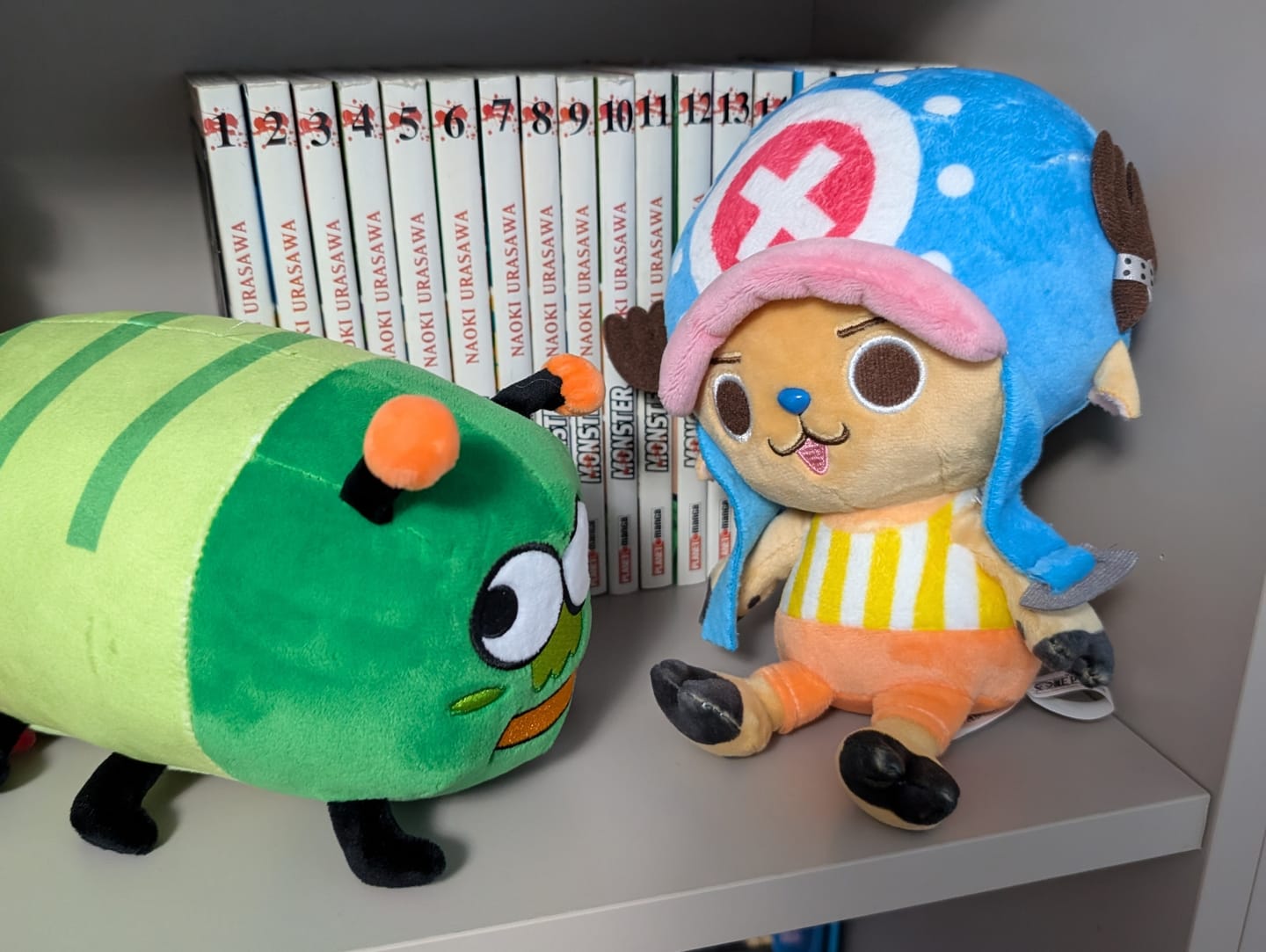 Customer photo review of PREORDINE Peluche Bruco Gianluco + Albo Fumetti e Canzoni!