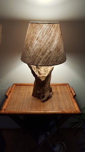 Customer photo review of Design Treibholz Wurzellampe ZOILA Höhe 65 cm