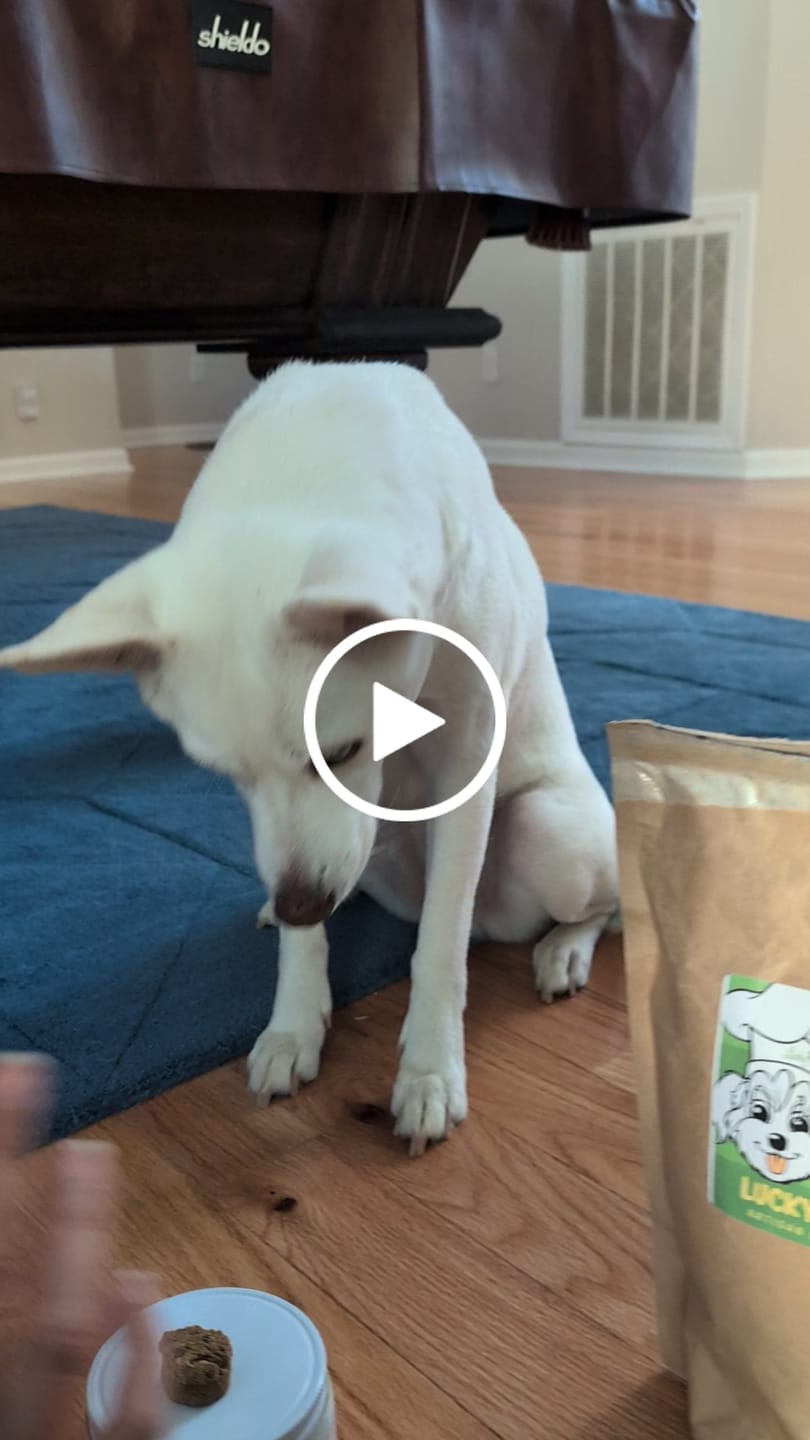 Customer video review of Natural Dog Food Samples