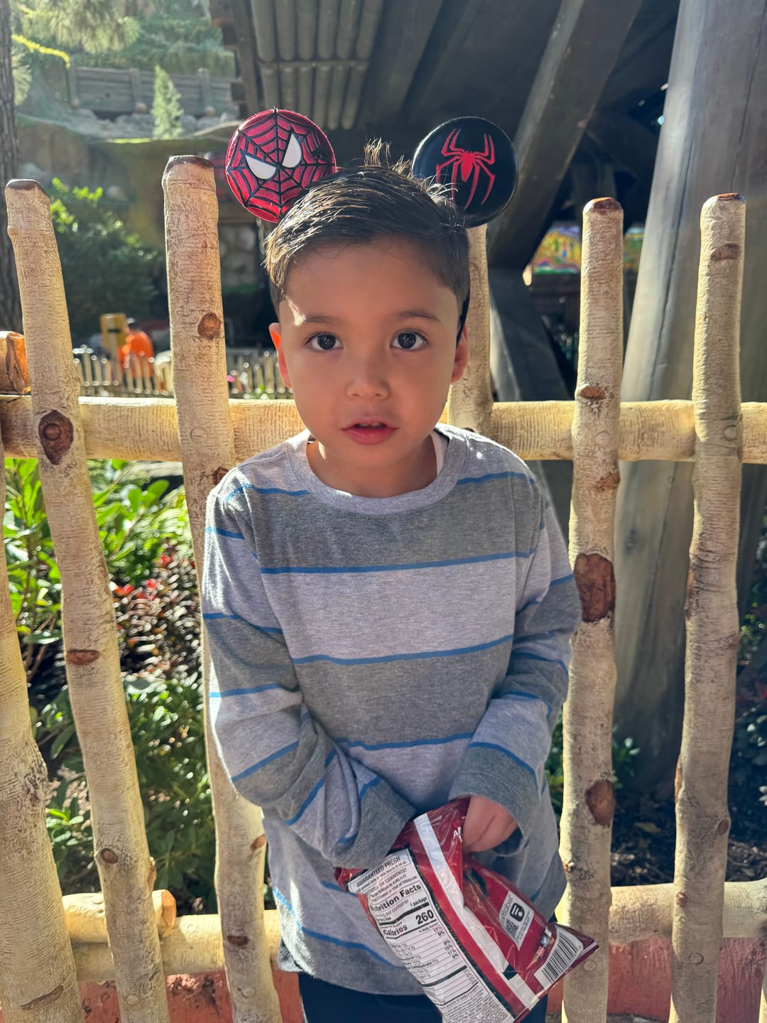 Customer photo review of Spider Mickey Ears for Men