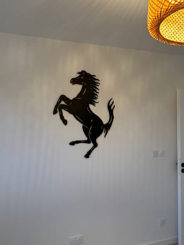 Customer photo review of Le cheval cabré Ferrari