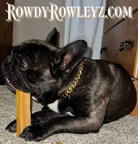 Customer photo review of ENGRAVED ID LINK - SMALL (0.75 inch)