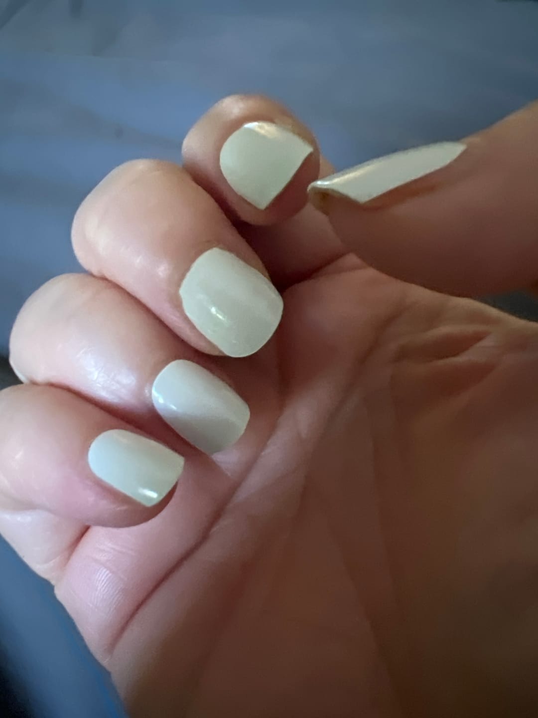 Customer photo review of Icing Sugar White DIY Semicured Gel Nail Sticker Kit