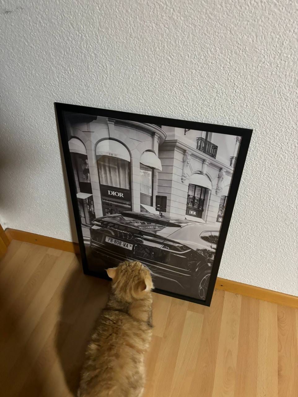Customer photo review of Dior - Lamborghini Urus - Poster