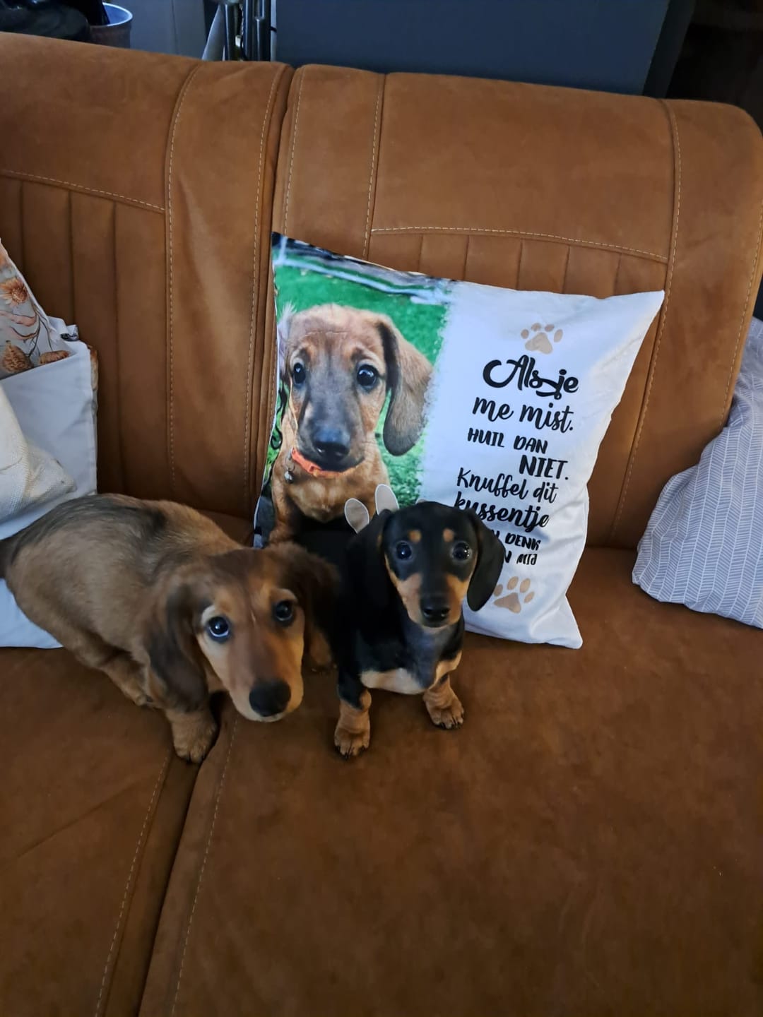 Customer photo review of Als je me mist - Gepersonaliseerd kussen