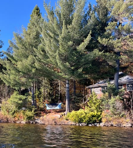 Customer photo review of Haven XL