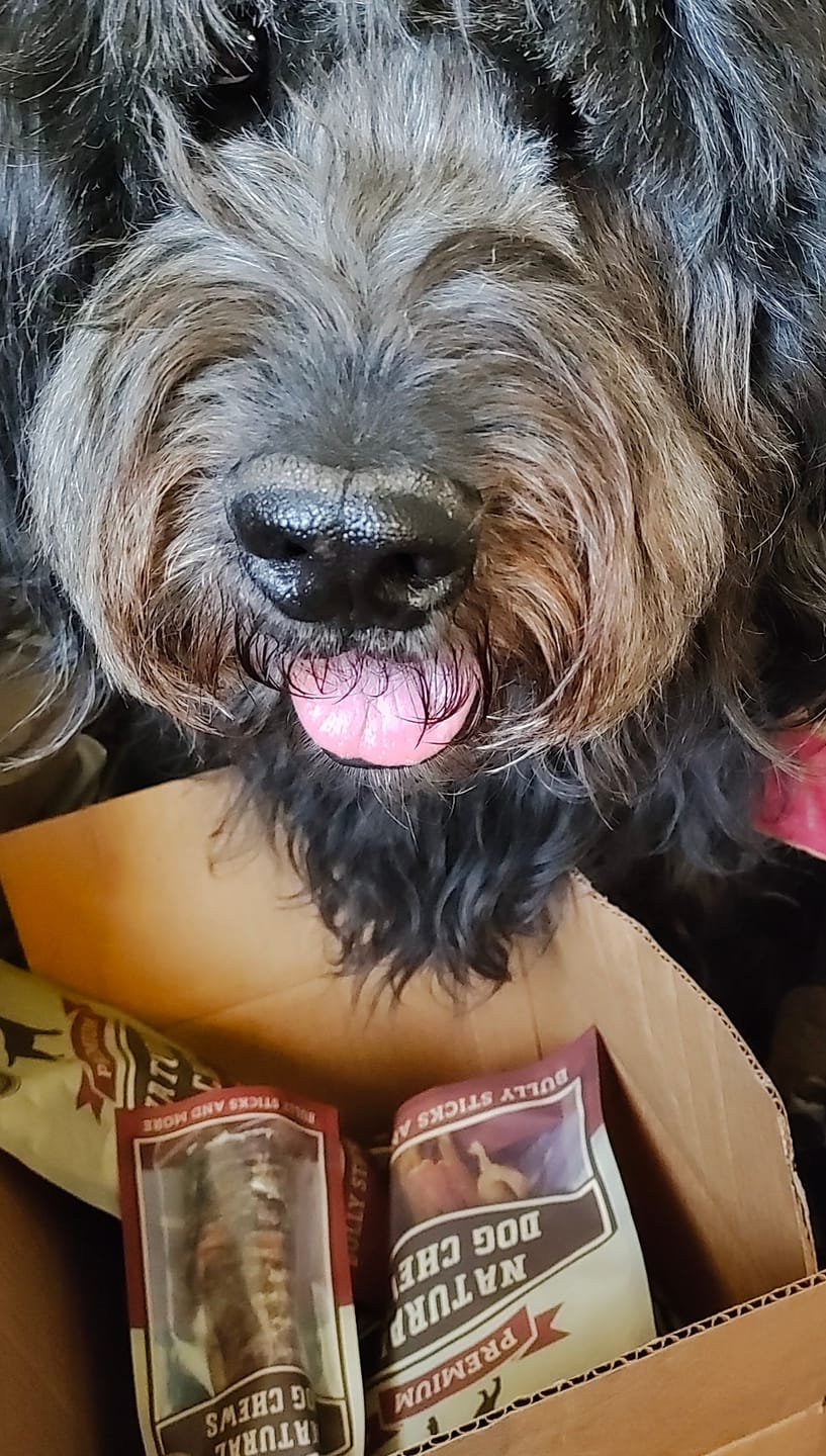 Customer photo review of 12 Inch Beef Jerky Strip